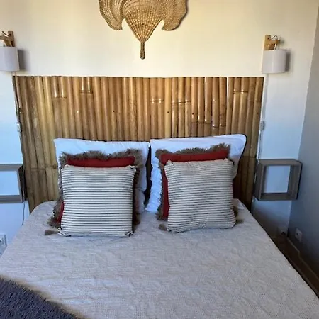 Apartment T2 Renove, Parking Prive, Proche Et Commerces, Ideal Deplacement A Pied - Fr-1-749-56 Agde