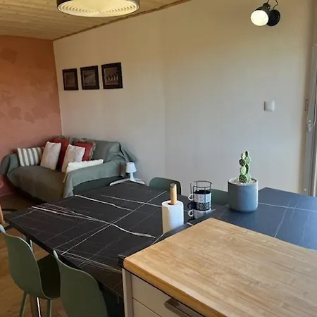 Apartment T2 Renove, Parking Prive, Proche Et Commerces, Ideal Deplacement A Pied - Fr-1-749-56 *